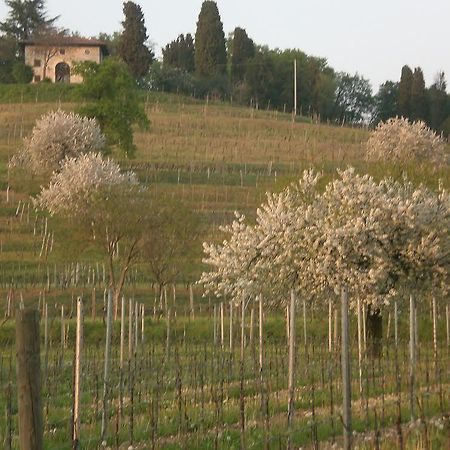 Agriturismo Giorgio Colutta Villa Manzano Exterior photo