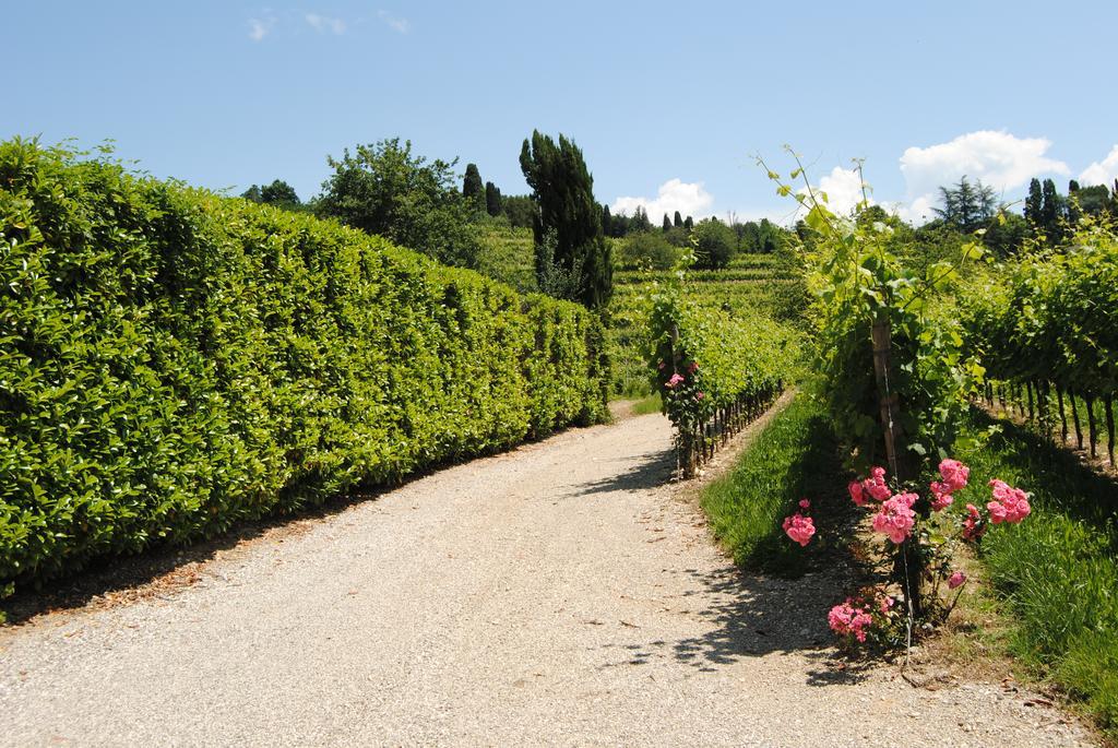 Agriturismo Giorgio Colutta Villa Manzano Exterior photo